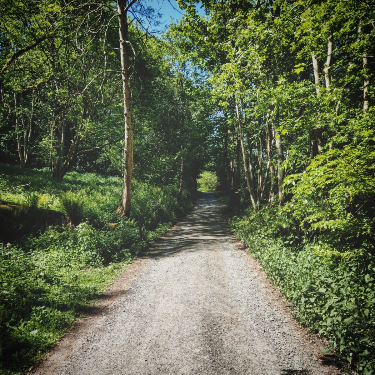 No Wrong Path